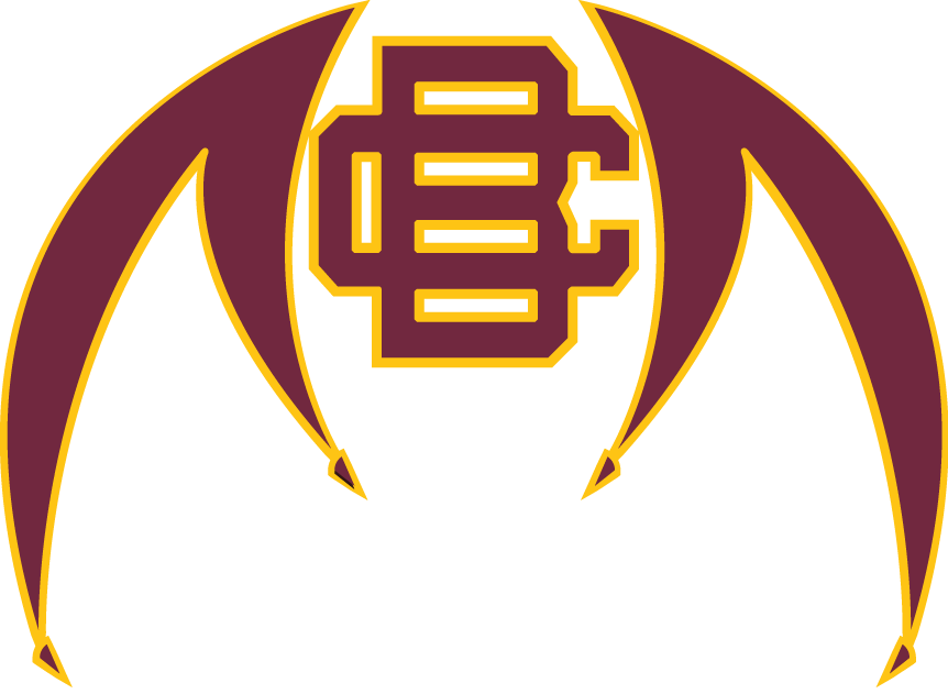 Bethune-Cookman Wildcats 2010-Pres Alternate Logo v2 iron on transfers for T-shirts